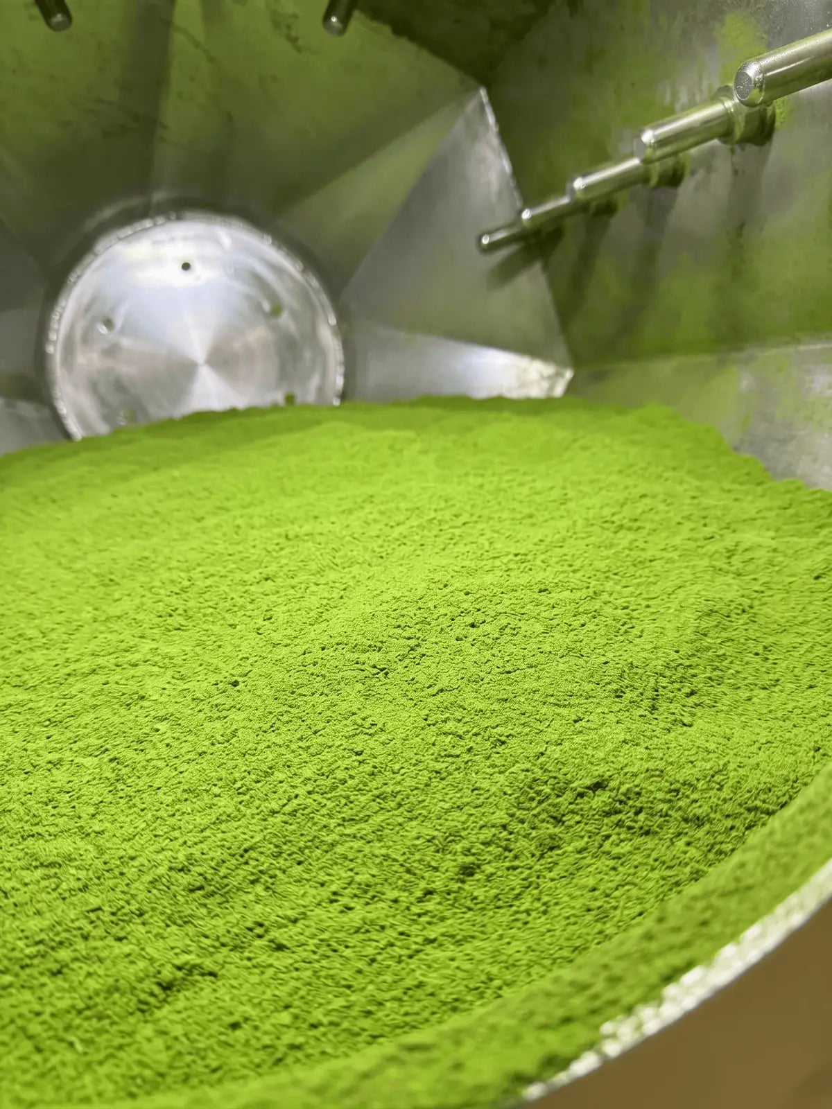 A close-up view of bright green matcha powder piled inside a stainless steel industrial mixing container with a metal auger visible in the upper right.
