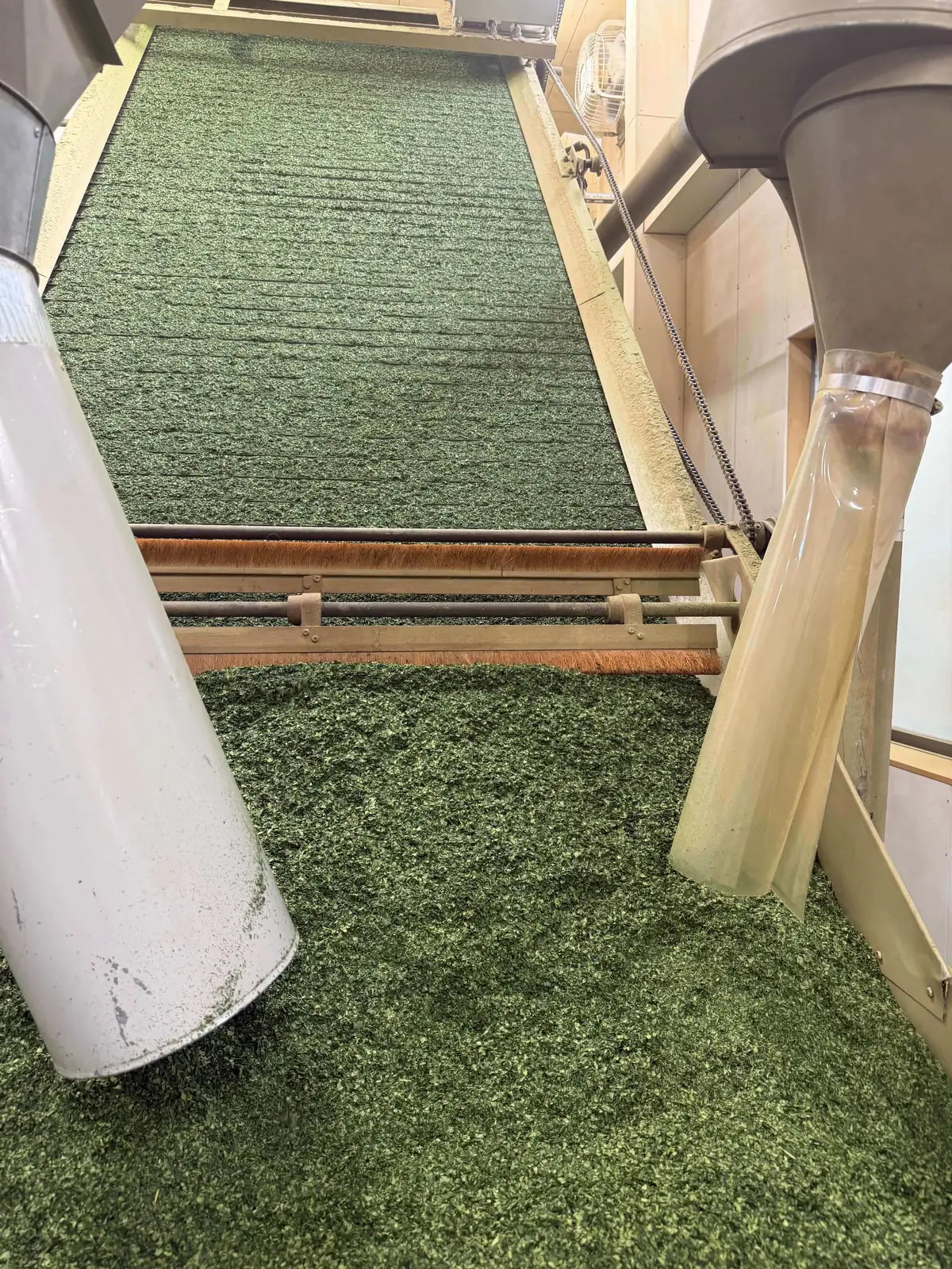 Green artificial turf or grass fiber being conveyed by a conveyor belt between collection hoppers or pipes in an industrial setting.